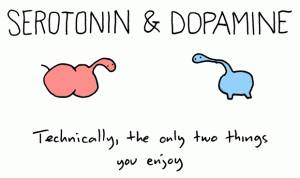 serotonina-dopamina