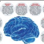 Las inteligencias múltiples