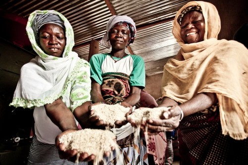 Mujeres-arroz-Burkina-Faso