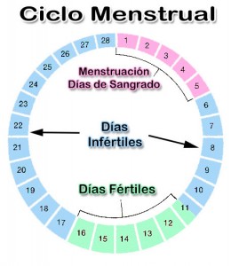 ciclo-menstrual