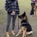 EL PERRO, EL MEJOR AMIGO DE LA MUJER